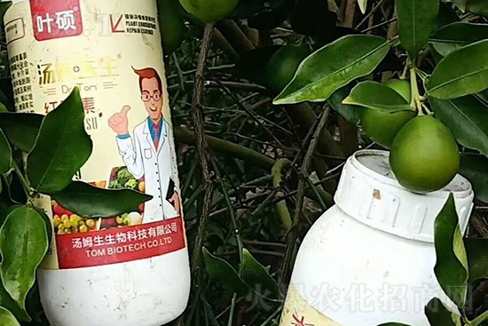 �t���ء�ֻ���D(zhu��n)ɫ�������D(zhu��n)ɫ���������߼t���ó���