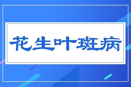 �����~�߲�