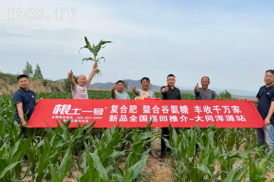 渾源玉米頂呱呱，營養(yǎng)補充全靠它