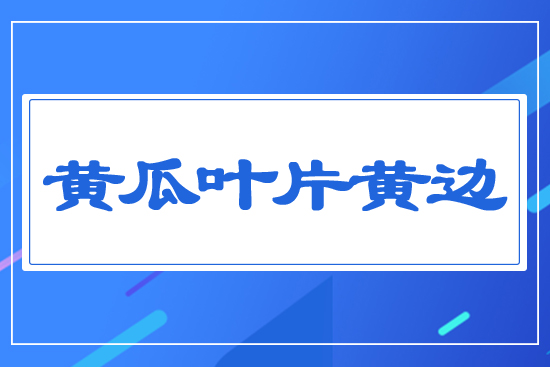 �S���~Ƭ�S߅