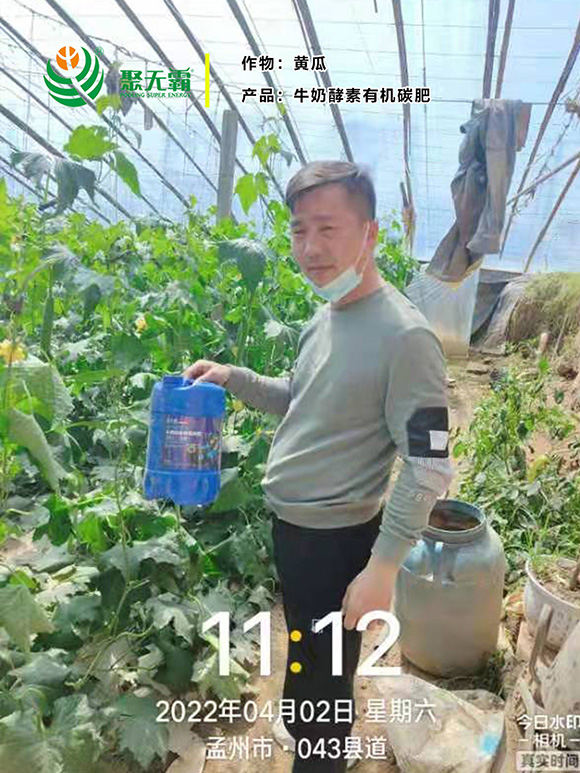 牛奶酵素有機碳肥-聚無霸2