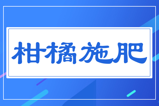 ����ʩ��