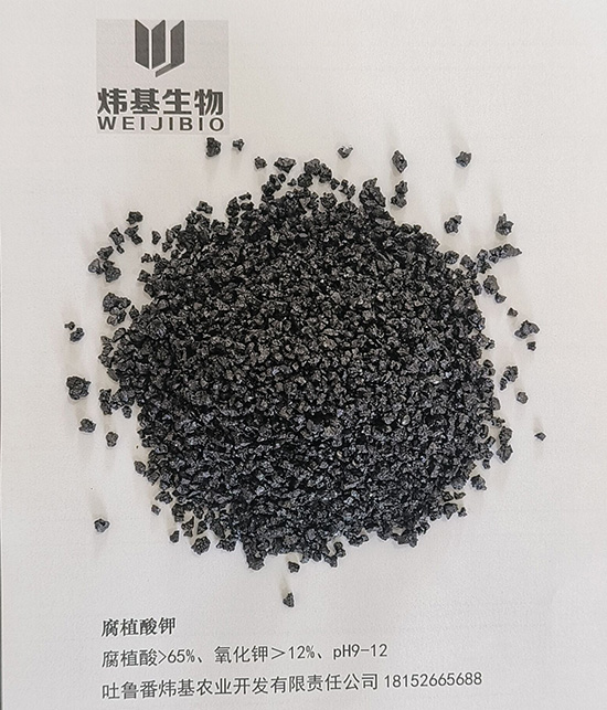 QQ�DƬ20231021114753