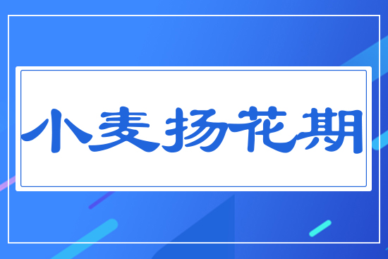 С���P����