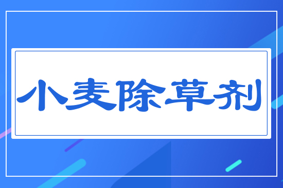 С�����݄�