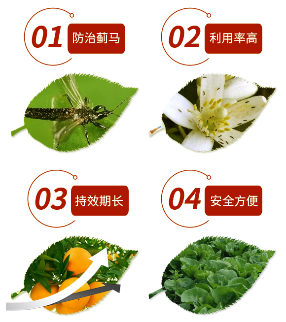 �E�R�T����-���r_03