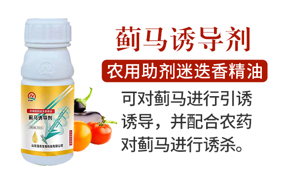 �E�R�T����-���r_02