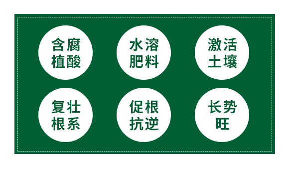 �������Ȱ����w��_02