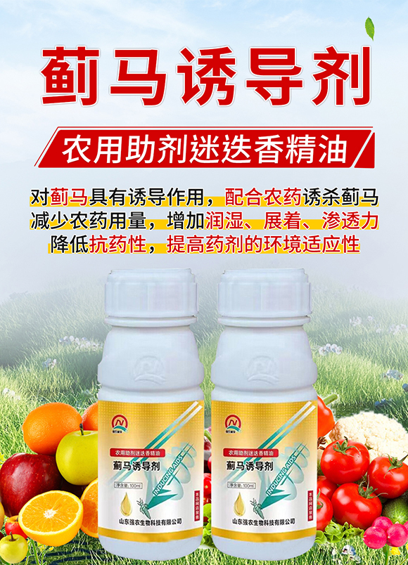 �E�R�T����-���r_01