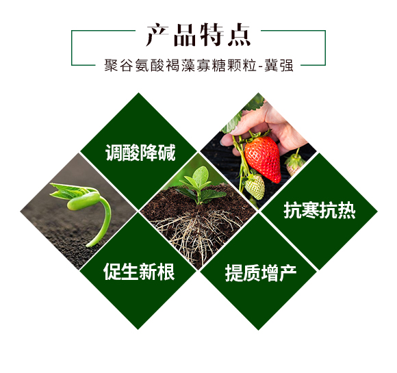 �۹Ȱ����������w��-�̽�_03