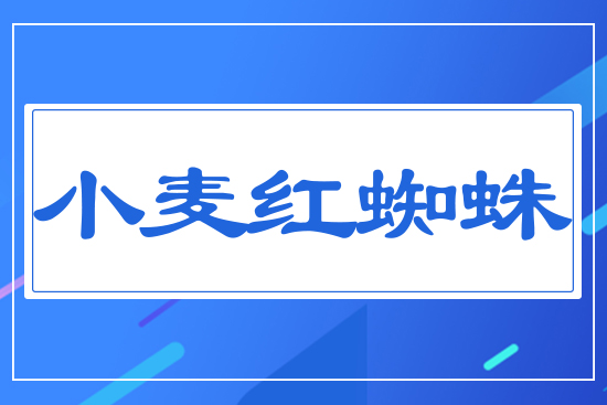 С���t֩��