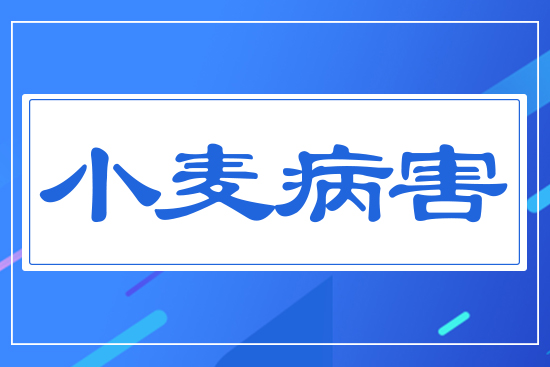 С������