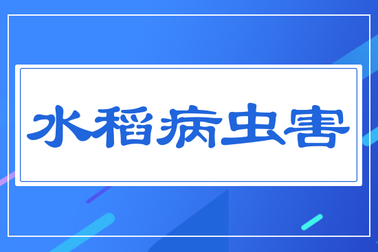 ˮ���ش��x��