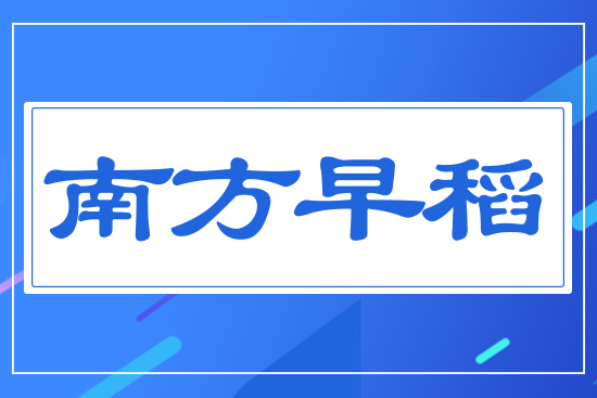 南方早稻
