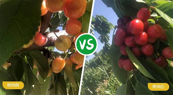 ���ь��ô���Ԫ��ˮ�ܷ���19-19-19+TE-�r(n��ng)������3