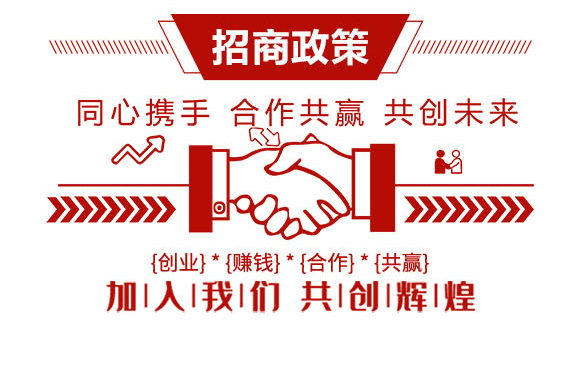 齊魯遠(yuǎn)見-有機(jī)化工廠_04