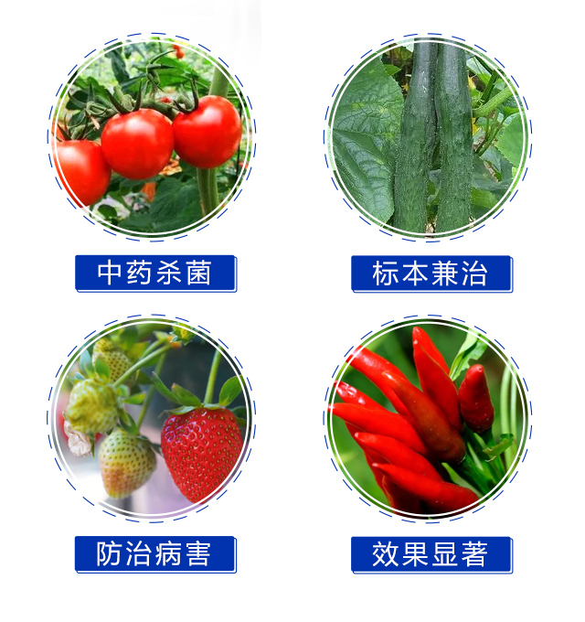 秒打(100g)-有機(jī)化工廠_05