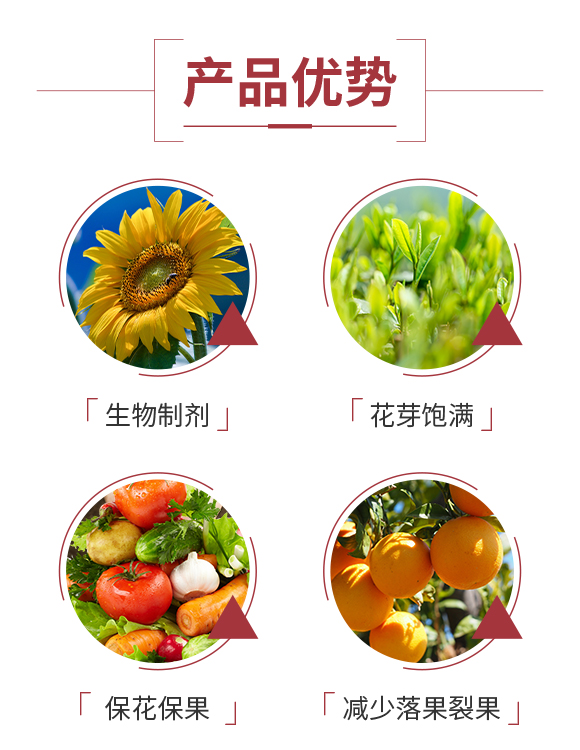 �ɶ��W����չ���޹�˾_03