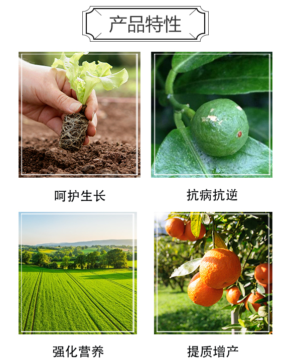 ���ϰ����S�r�I(y��)�Ƽ����޹�˾_04