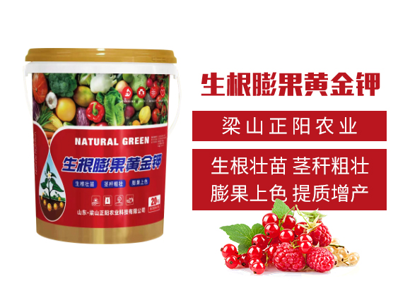 ��ɽ���(y��ng)�r(n��ng)�I(y��)�Ƽ����޹�˾_02