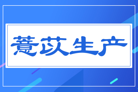 薏苡生產(chǎn)