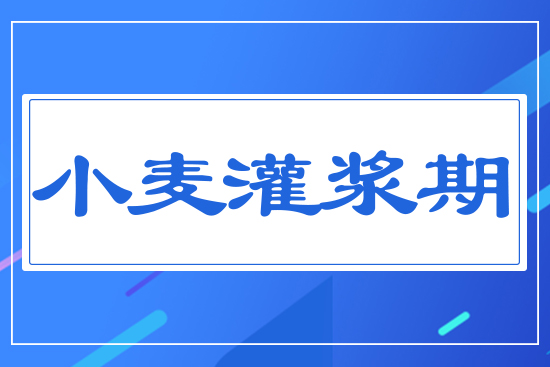 С�����{��