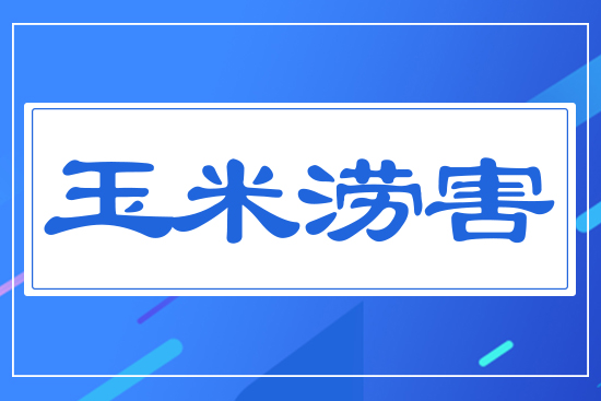 ���ם���