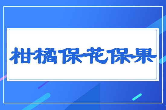 ���ٱ�������