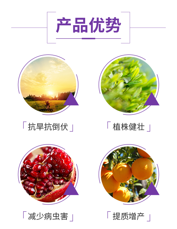 꿾����F(tu��n)_03