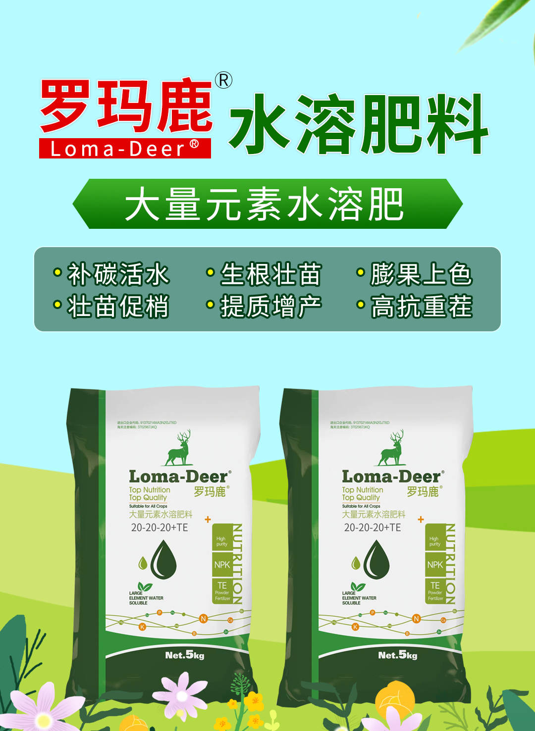 青島海鯨進出口有限公司02