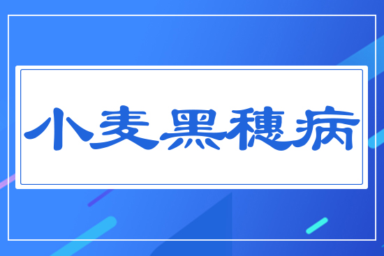 С�����벡