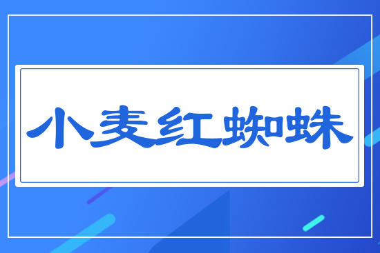 С���t֩��