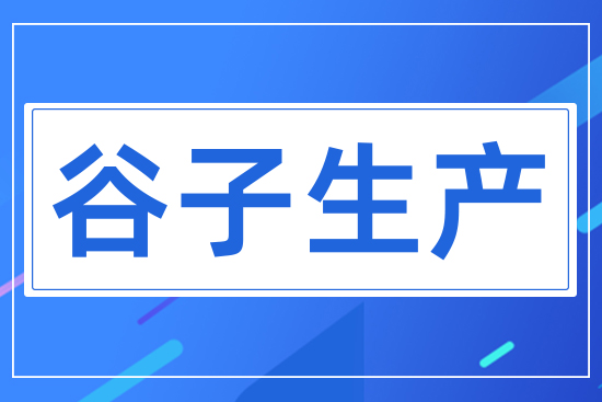 谷子生產
