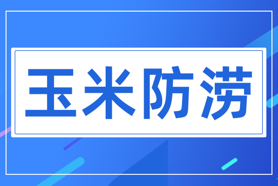 玉米防澇