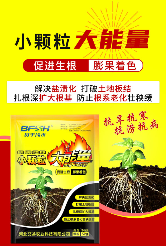 С�w��������-�����r(n��ng)�I(y��)_01