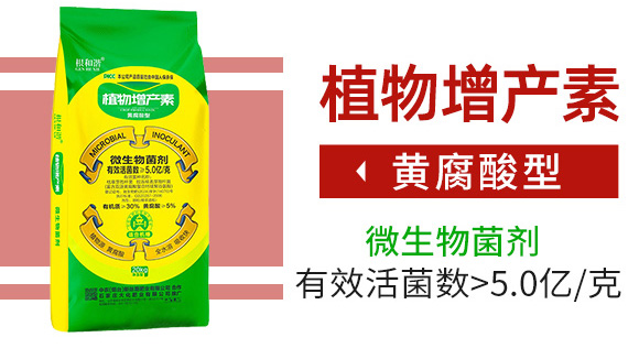 �S������ֲ�����a��-�����C-�󻯷ʘI(y��)_03