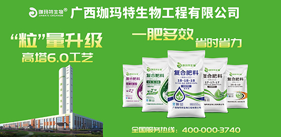 �ͺϷ��ϣ�����6