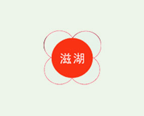 �Sʯ���d�Ƽ����޹�˾