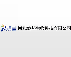 �ӱ�ʢ������Ƽ����޹�˾