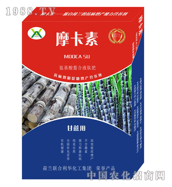 ���ጣ�ð���������Һ�ķ�-Ħ����-��(qi��ng)о��(gu��)�H