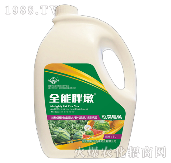 ȫ���ֶ�-�����-���