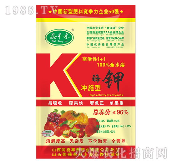 �߻���1+1ø�-���S��