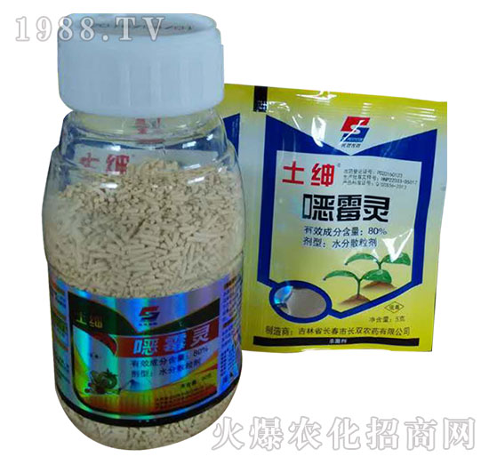 80%�fù�`-����-�L�p