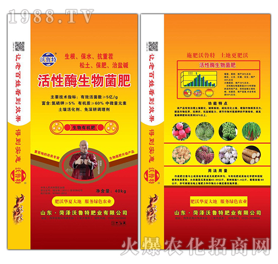 ����ø�������-������