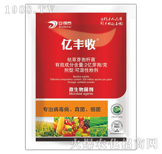 ���β����������(x��)��-�|�S��-����̩