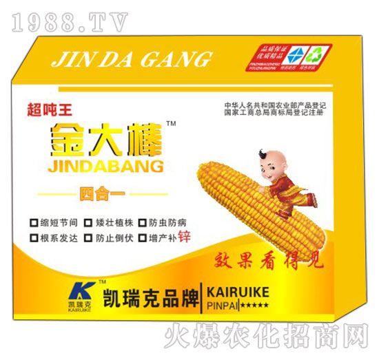 ����������-�P���