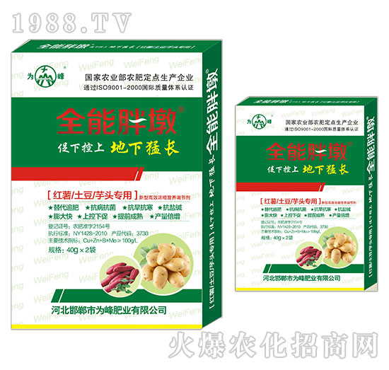 �t�������������^����-ȫ���ֶ�-���