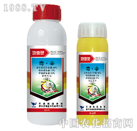 40%����-���x�`-���{