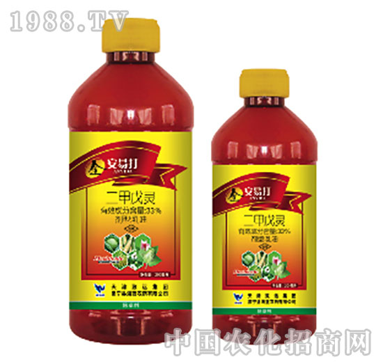 33%�������`-���״�-���{