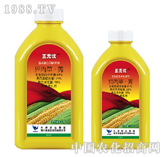 41%������ݬ-��o(w��)�n-���{(l��n)